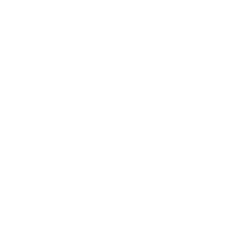 Bakkt Holdings, Inc. Share Price
